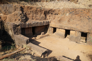 Cave 29 Gaur Lena